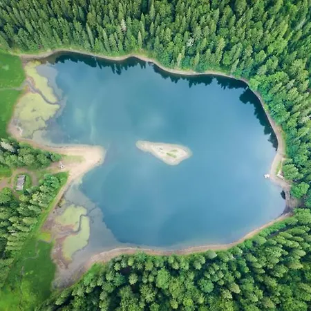 Котедж Синевир シネヴィル