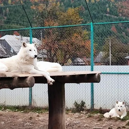 Котедж Синевир * シネヴィル