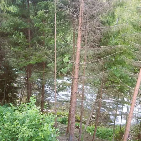 Котедж Синевир アパート