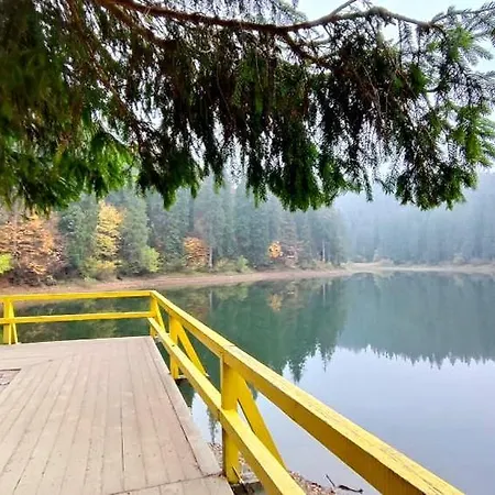 アパート Котедж Синевир シネヴィル