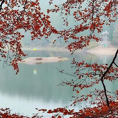 Котедж Синевир * シネヴィル