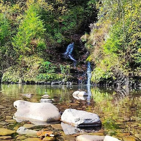 Котедж Синевир アパート