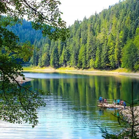 Котедж Синевир * シネヴィル