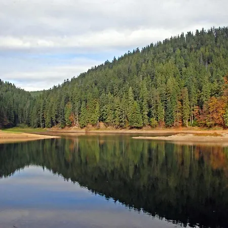 アパート Котедж Синевир