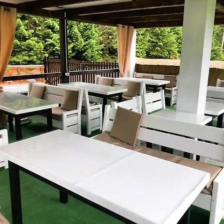 Котедж Синевир