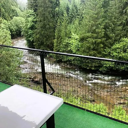 Котедж Синевир * シネヴィル