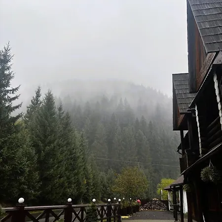 Котедж Синевир アパート