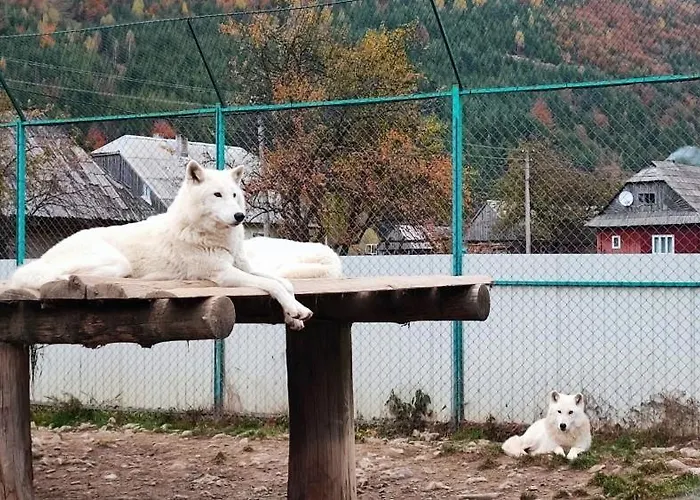 Котедж Синевир * Synevyr